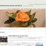 neue Homepage für Kunde Haus Möhrle online - BOS Medien: Internetagentur in Ravensburg | WordPress-Spezialisten